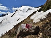 52 Dopo lungo cammino in decisa salita ritrovo traccia del sent. 101 per la Forcella Rossa